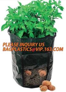 Quality Heavy Duty Biodegradable Garden Bags Potato Grow Murphy PE Fabric Gallon Durable wholesale