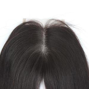 Quality Middle part Natural Straight Brazilian Hair Lace Top Closure 8-20 Inches wholesale