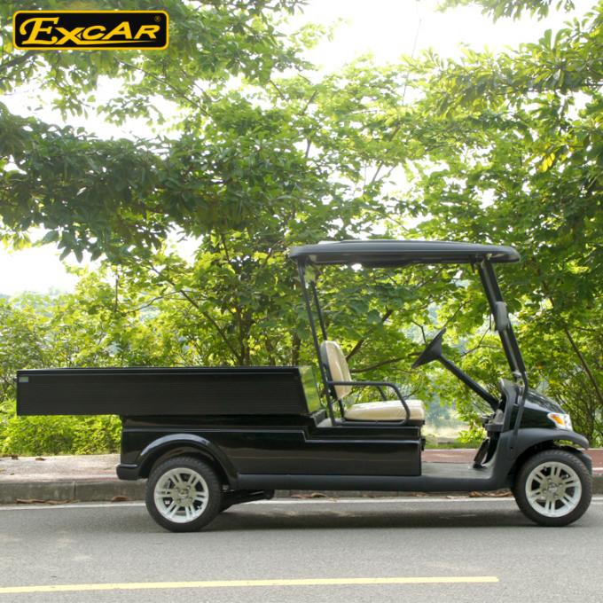 A1H2 Black Cargo Freight Electric Utility Carts battery powered utility vehicles 1