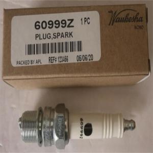 Quality Waukesha Sparking Plug 60999Z wholesale