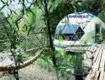 Adventure Sleeping Wind Resistant PVC Glamping Dome Tent