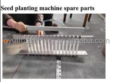 Hydroponic Sponge Seed Planter Line for Seeding Cucumbers and Squash Automatically