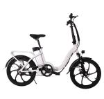 36V Electric Folding Bike 250W Rear Hub Motor Electric Bike 30-50Km/h Max Speed