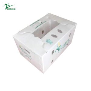 Quality Vegetable Corrugated Boxes for High-Performance Storage Optimal for Transportation wholesale