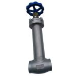 Stainless Steel 304 /316 Low Temperature PCTFE Disc Seal Cryogenic Globe Valve