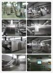 Sweet Corn Chip Puff Snack Machine With Double Screw Extruder