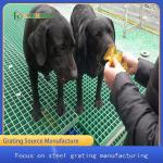 Fiberglass Plastic FRP Molded Grating Grille Cage Floor For Poultry Breeding