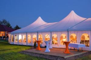 Quality UV Resistance PVC Coated Polyester Fabric Wedding Party Tent 112mmx203mmx4mm wholesale