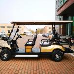 530Kg Golden Luxury Electric 6 Seater Golf Cart Manufacturers With 3.5kw Motor