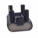 Auto Parts High Performance Ignition Coil Bobinas De Encendido 19005270 For