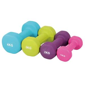 Quality Gymnasium Neoprene Dipped Dumbbells 6kgs Bone Vinyl Coated Dumbbells wholesale