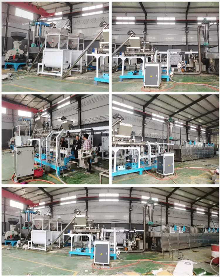 200-300kg/h dog food making machine catfish Tilapia floating fish feed pellet extruder with 1 year of warranty
