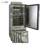Ss 304 Material 4-6 Trays Low Temperature Seafood Blast Freezer for Fish