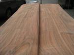 Rotary Cut/Peeled MLH/Dillenia Wood Veneer Sheet
