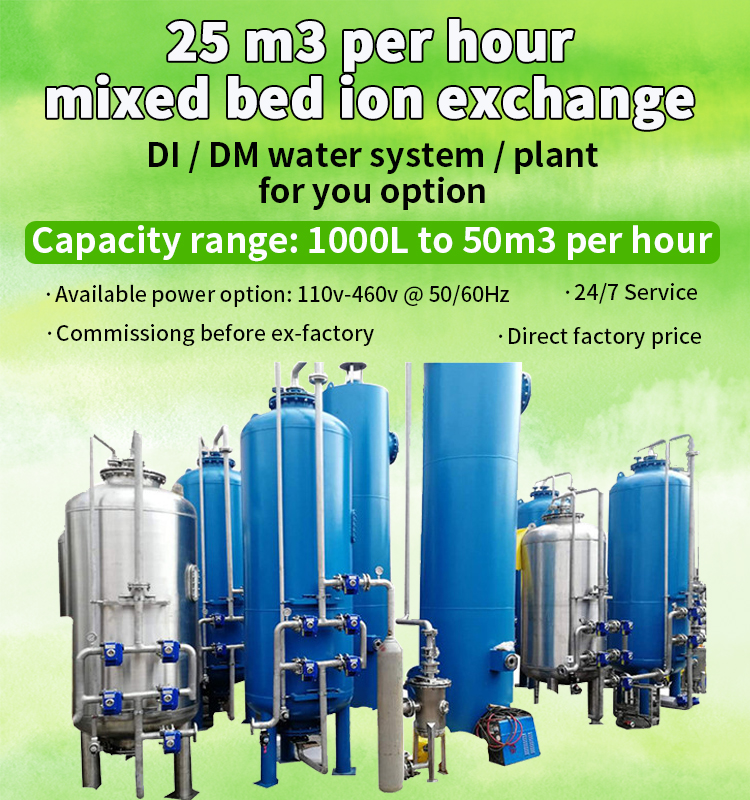 Mixed Bed Deionized Water Systems OLTRMARE Membrane 110V