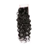 Malaysian Water Wave Swiss Lace Closure Free Parting Natural Color No Shedding