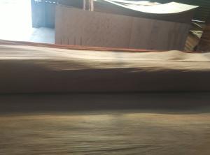 Quality sell PLB veneer wholesale