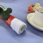 Alcohol Free Travel 15g wet towel