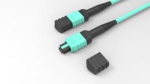 Quality OM4 LSZH Fiber Optic Patch Cable 12 Fibers MPO MTP Trunk Cable wholesale