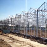 High Venlo Type Greenhouse Strong Commercial Multi Span Glass Covered