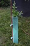 PP Corrugated Plastic Tree Guard Corflute Sustainable Tree Guards