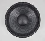 200x25mm Double Magnet 800W RMS 2KHz 12 Inch PA Subwoofer