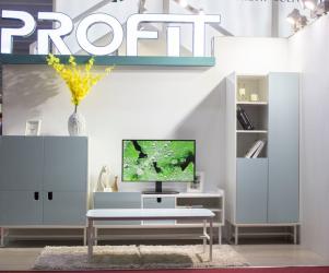 PROFIT CULTURAL & CREATIVE GROUP CORPORATION