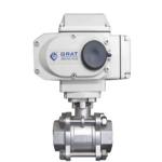 Stainless Steel SS316 BSP Inner Thread DC24V Electrical Control Valve