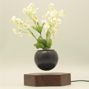 Quality wooden base creative magnetic levitation floating air bonsai plant tree flowerpotted for gift wholesale