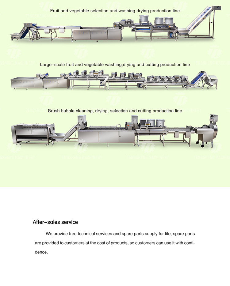 380V 150KG Luffa pumpkin asparagus cucumber lettuce bitter melon slicing machine specifications can be fixed
