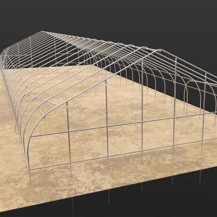 Single Span PE Film Greenhouse TUV Low Cost Poly Tunnel Greenhouse
