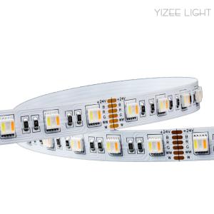 Quality 12mm RGB Led Strip SMD 5050 RGB CCT Adjustable Led Strip Light Multi Color wholesale