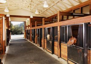 Quality Customize Horse Stall Panels Bamboo Infill Strong Metal Steel Frame wholesale