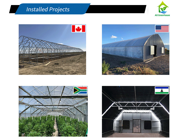 PE Film 220V Auto Light Dep Greenhouse 100% Blackout High Tunnel Greenhouse