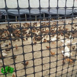 Quality CE/ISO9001 Certified PP Biaxial Geogrid for Corrosion-Resistant Civil Engineering Fence wholesale