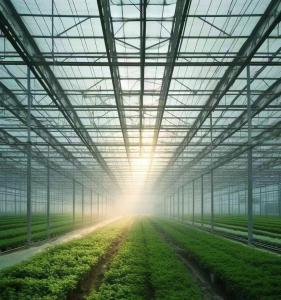 Quality Vegetable Cultivation Greenhouse with Snow Vibrator Return refunds within 30 Days wholesale