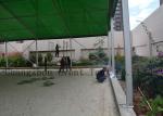 Ez Up Canopy Tent Easy Install , Pop Up Beach Shelter ABS Hard Wall Fire