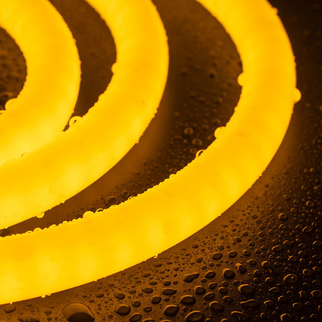 Addressable Circular 360° Neon Led Light For Festival Merchandising Item Type Neon Lights