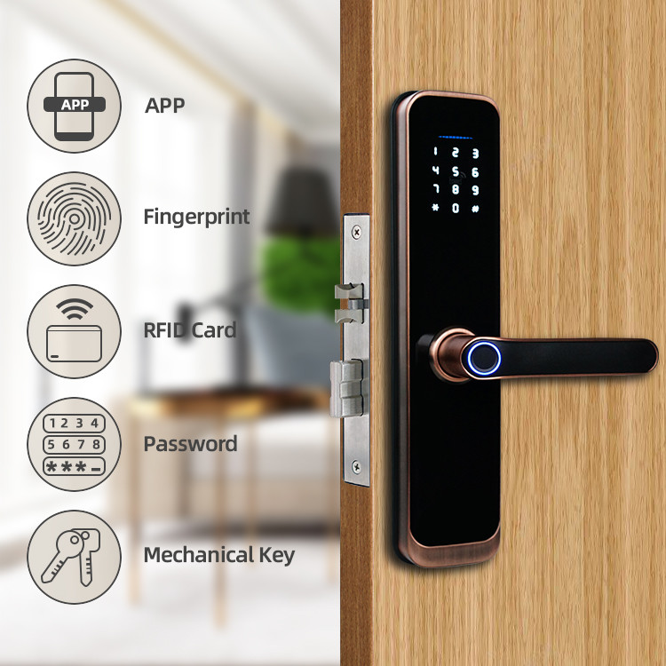 Smartphone Control Fingerprint Smart Door Locks DC6V Door Handle Lock