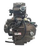 DAYANG 250cc Super Cool Motorcycle Engine Single Cylinder 4 Stroke Style