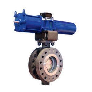 Quality SS ANSI PN16 DN300 Cryogenic Electric Control Valve wholesale