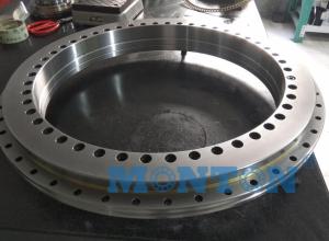 Quality YRTS395 Yrts Series Rotary Table Bearing For Machine Tools wholesale