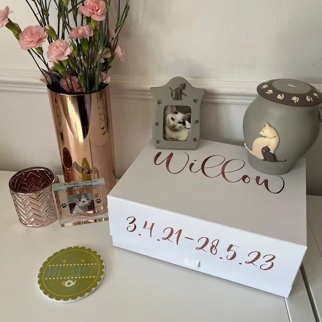 Custom Luxury Color Gift Box A Variety Of Styles Beautiful Packaging
