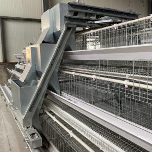 Quality 1.2mm Automatic Poultry Feeding System Q235 Hot Dipped Galvanized Sheet wholesale