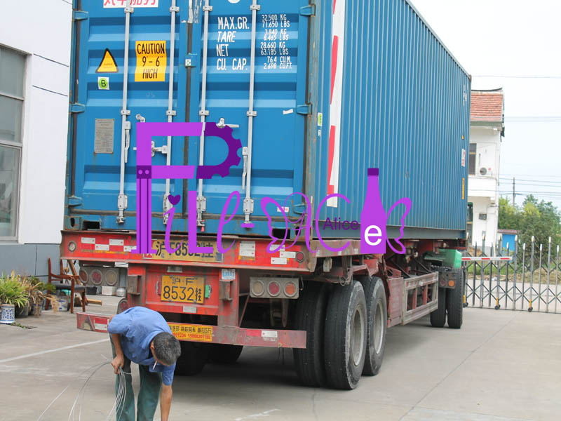 2L 2000BPH Carbonated Bottle Blow Molding Machine Double Cavity Automatic
