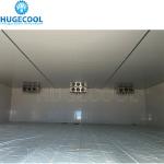 Freon Refrigerant Cold Storage for Fruits and Vegetables in Estimated Delivery