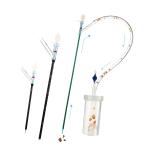 Clear Petra Ureteral Access Sheath
