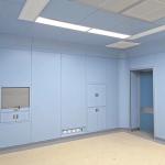 Fireproof Machine Made Mgo Rock Wool Sandwich Panel Anti Bacterial For