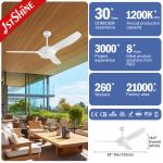 OEM ODM Plastic Summer Cool Ceiling Fan 3 Blade Smart Lighting Fan