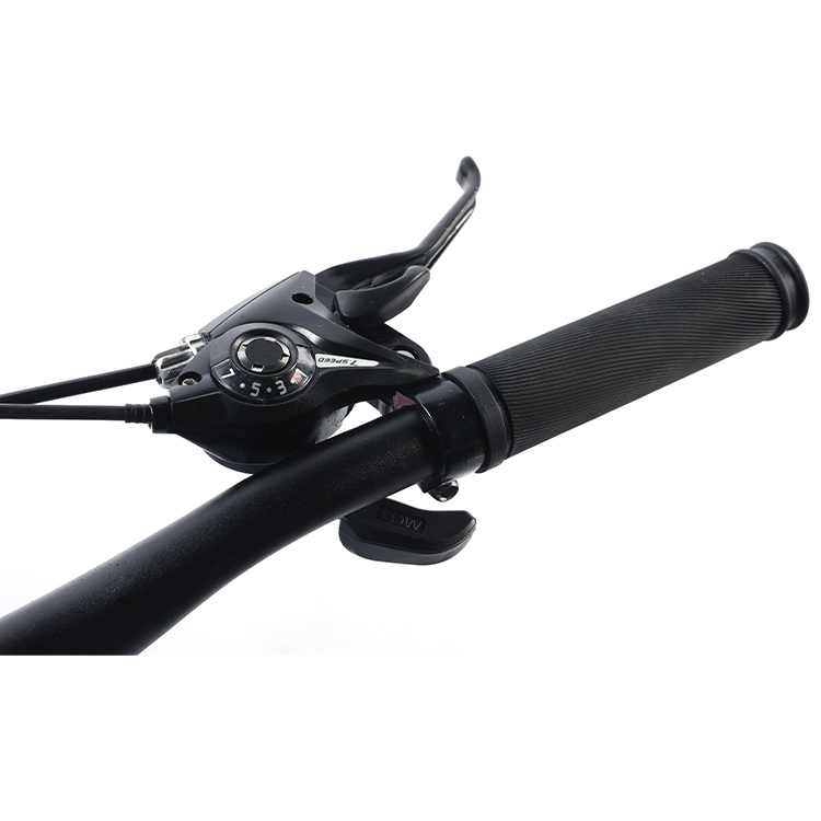 Mechanical Disc Brake 21 Speeds Steel Frame Mountain Road Bike for City Travel Bicycle